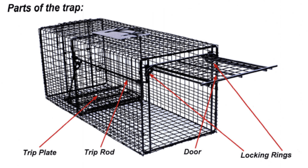 Pro Trap - Image 2