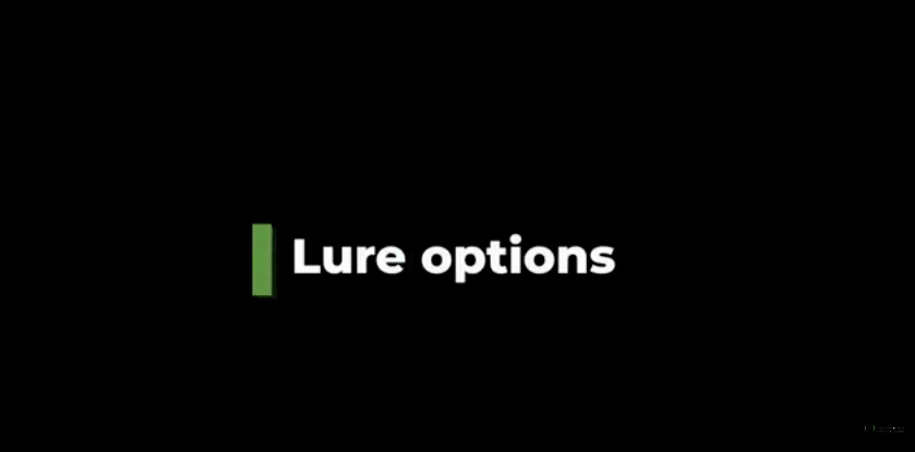 Best Lure Options for Pest Control