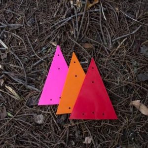 200 Small Triangle Markers