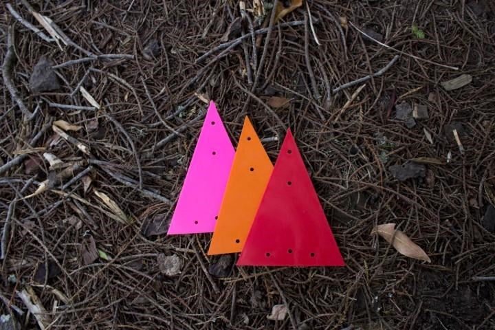 200 Small Triangle Markers