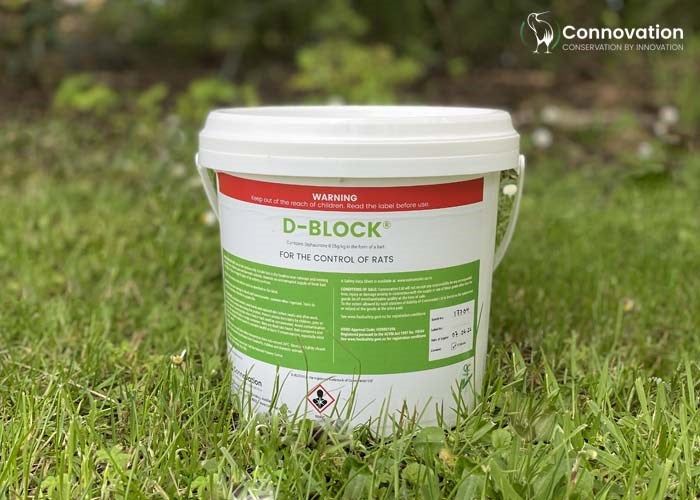 D-Block - Image 3