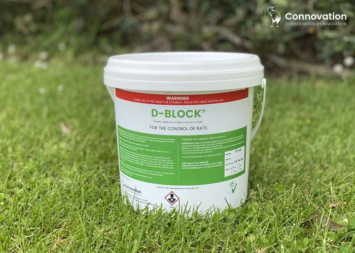 D-Block - Image 4