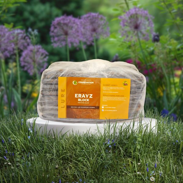 Erayz Jerky Blocks