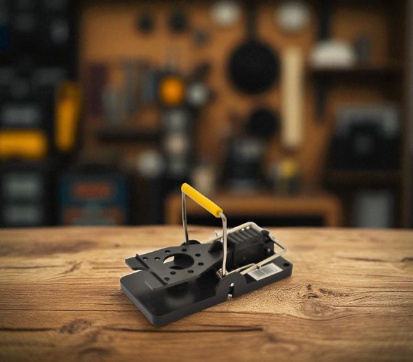 Mouse Trap