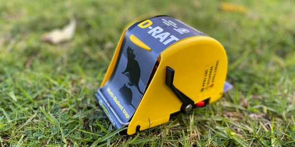 D-Rat Trap